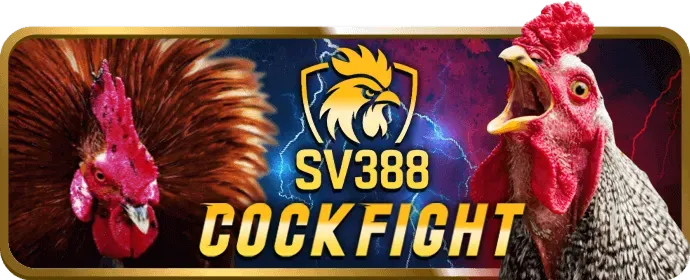 Giải đấu game độc quyền BenVip